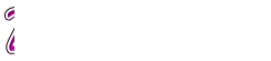 2025toXcA[